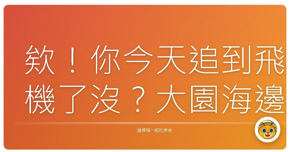 欸!你今天追到飛機了沒?大園海邊的那些事